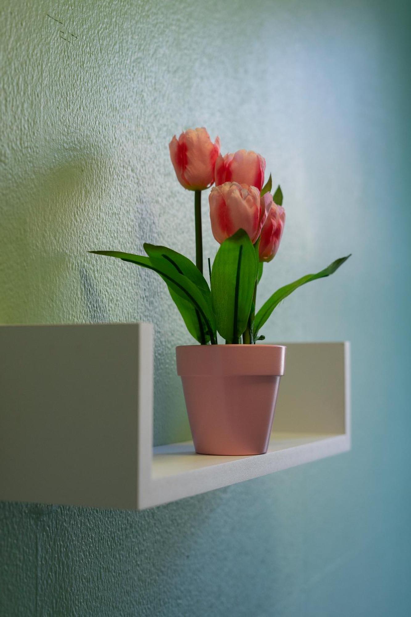 The Eden Apartment, Edinburgh City Center Bagian luar foto